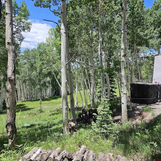 1255 Spruce Rd, Cimarron, CO 81220