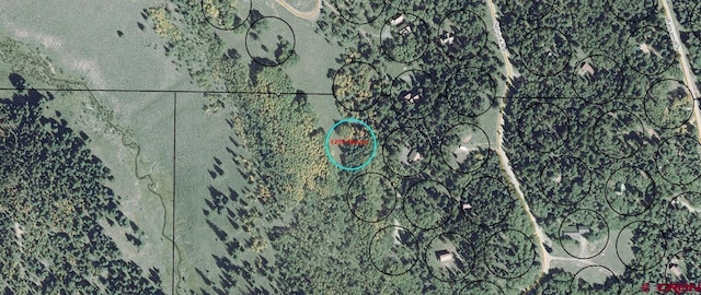 1255 Spruce Rd, Cimarron, CO 81220