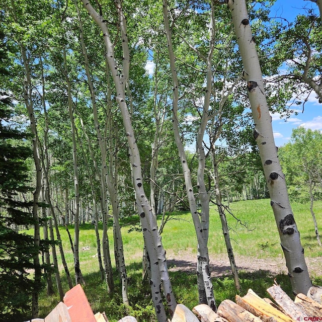 1255 Spruce Rd, Cimarron, CO 81220