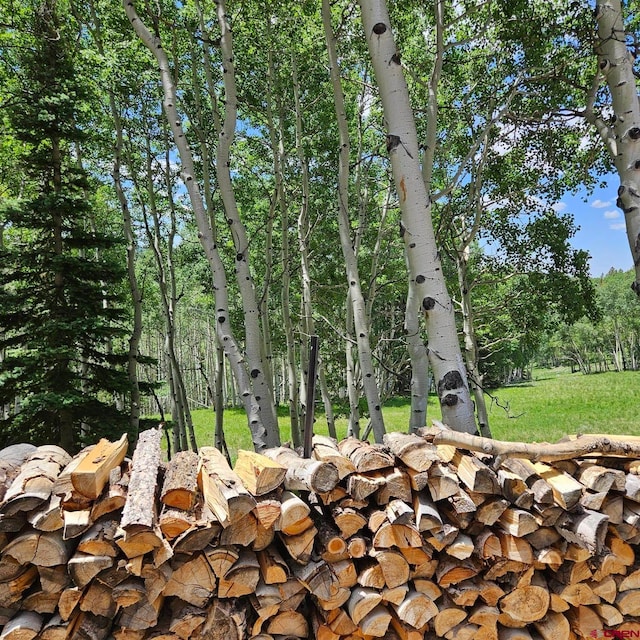 1255 Spruce Rd, Cimarron, CO 81220