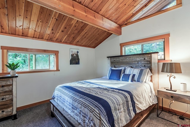 9 Los Ranchitos Dr, Durango, CO 81301 - carpeted bedroom with multiple windows and wooden ceiling