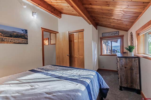 9 Los Ranchitos Dr, Durango, CO 81301 - bedroom featuring multiple windows, carpet floors, wood ceiling, and a closet