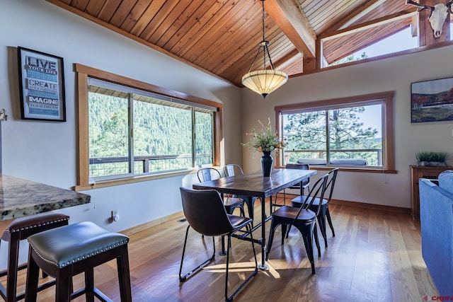 9 Los Ranchitos Dr, Durango, CO 81301 - dining space with wood-type flooring and wood ceiling