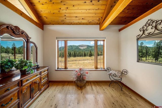 2415 Echo Canyon Ranch Ln, Pagosa Springs, CO 81147 - sitting room featuring wood ceiling and light wood-type flooring
