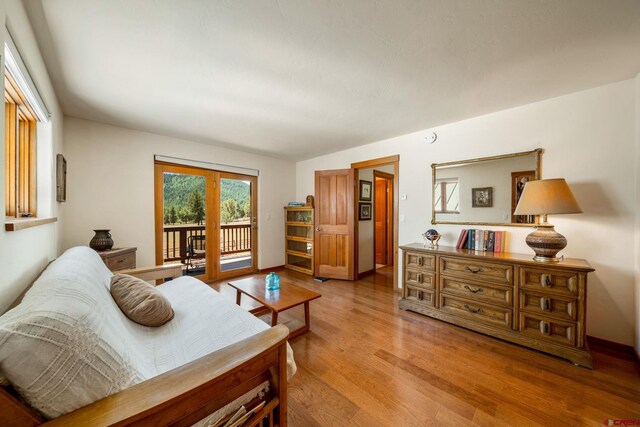2415 Echo Canyon Ranch Ln, Pagosa Springs, CO 81147 - living room with light wood-style flooring