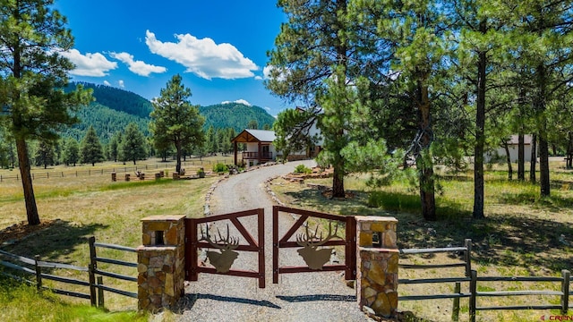 2415 Echo Canyon Ranch Ln, Pagosa Springs, CO 81147 - view of home's community featuring a mountain view, a rural view, and dirt driveway