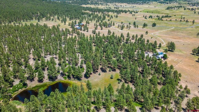 2415 Echo Canyon Ranch Ln, Pagosa Springs, CO 81147 - aerial overview of property's location featuring a large body of water