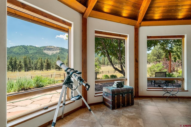 2415 Echo Canyon Ranch Ln, Pagosa Springs, CO 81147 - sunroom with a view of trees and a mountain view