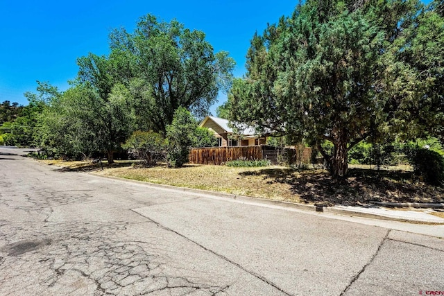 111 E 31st St, Durango, CO 81301 - view of yard