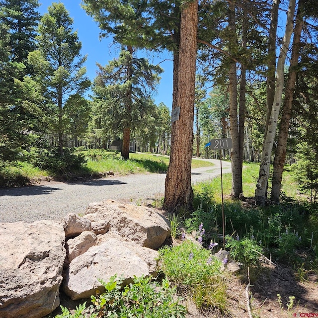 201 Crest Dr, Cimarron, CO 81220