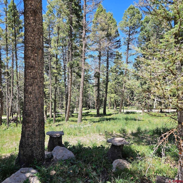 201 Crest Dr, Cimarron, CO 81220