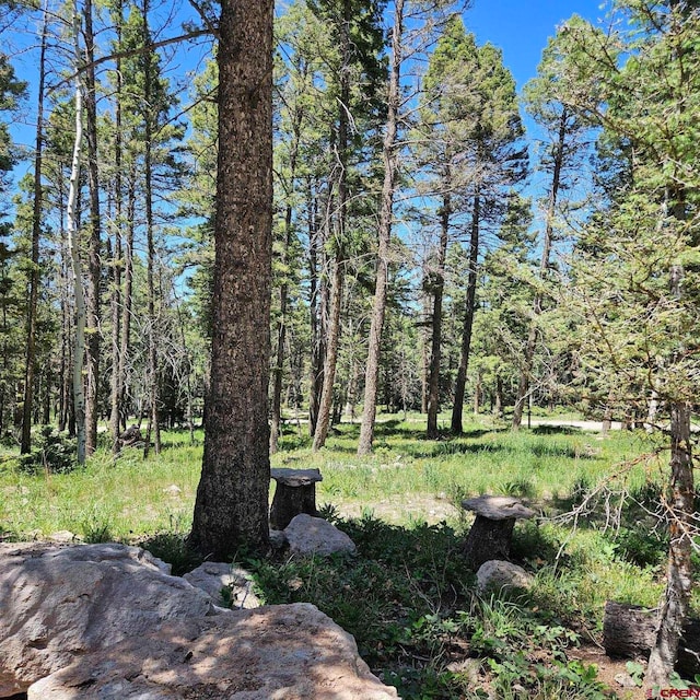 201 Crest Dr, Cimarron, CO 81220