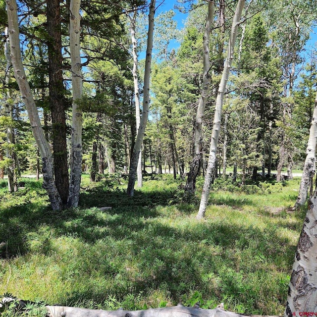 201 Crest Dr, Cimarron, CO 81220