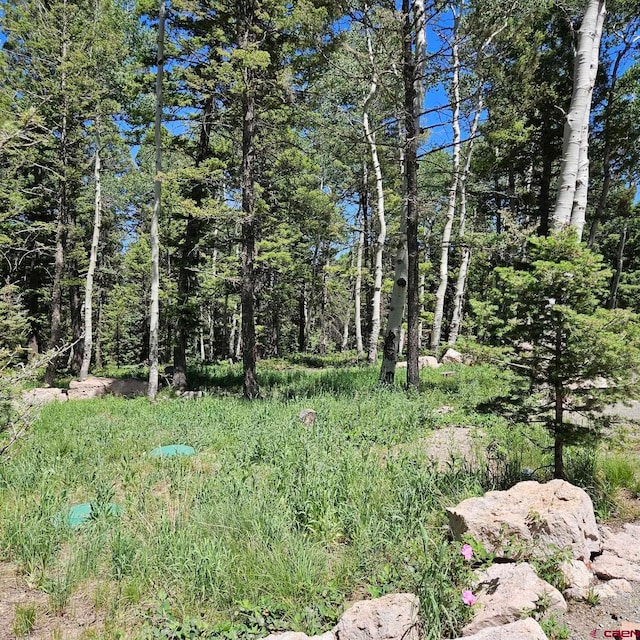 201 Crest Dr, Cimarron, CO 81220
