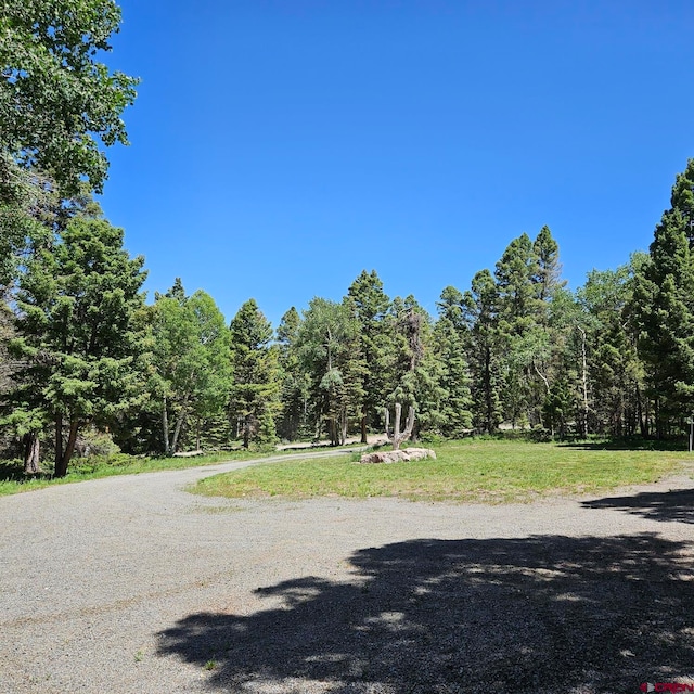 201 Crest Dr, Cimarron, CO 81220