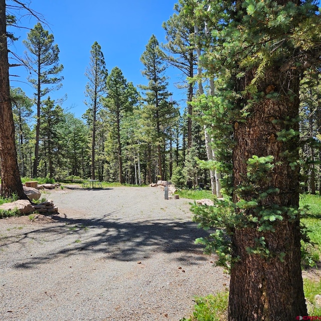 201 Crest Dr, Cimarron, CO 81220