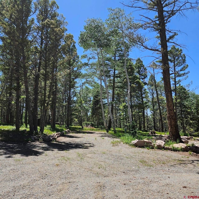 201 Crest Dr, Cimarron, CO 81220