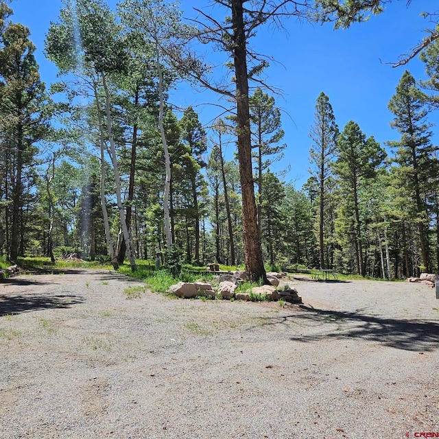 201 Crest Dr, Cimarron, CO 81220