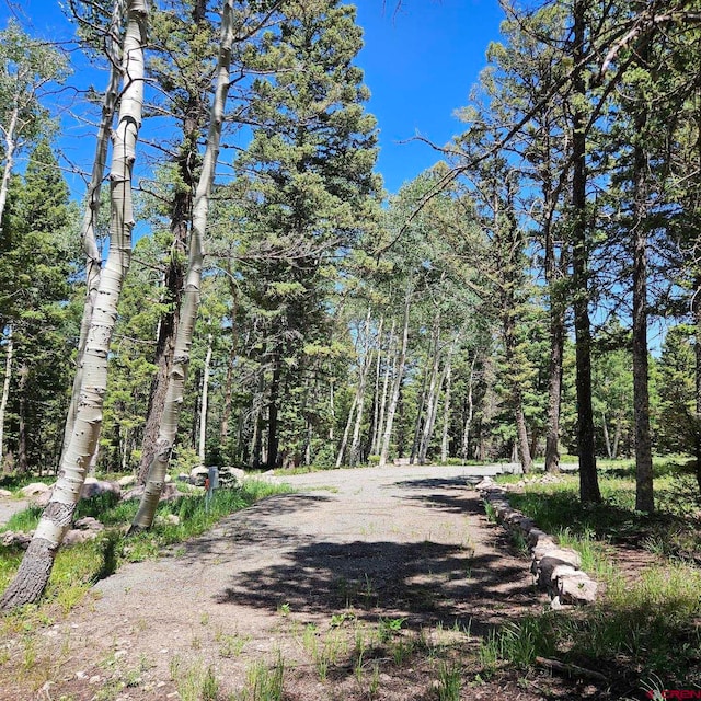 201 Crest Dr, Cimarron, CO 81220