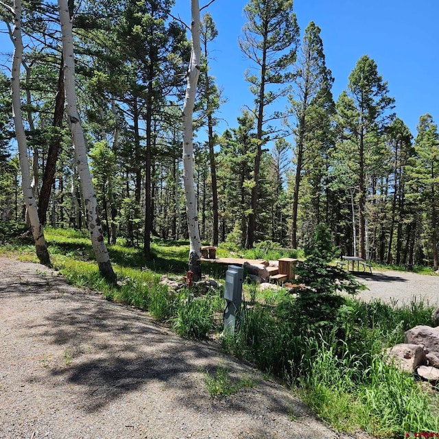 201 Crest Dr, Cimarron, CO 81220