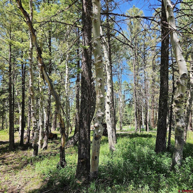 201 Crest Dr, Cimarron, CO 81220