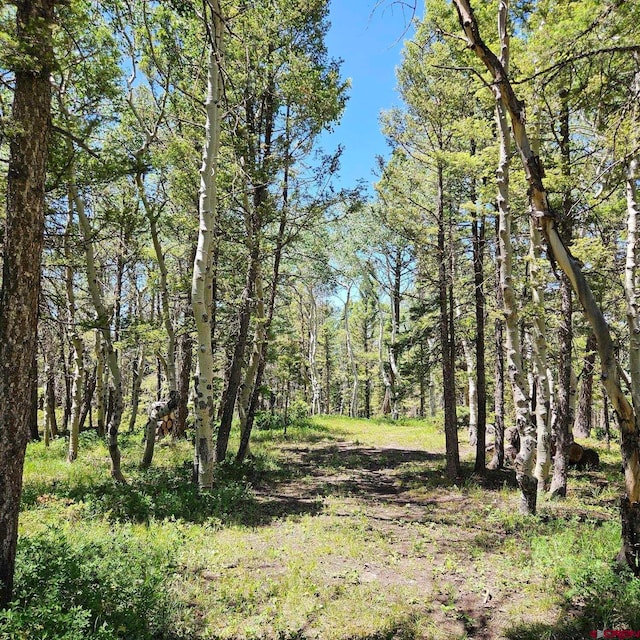 201 Crest Dr, Cimarron, CO 81220