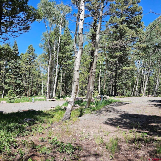 201 Crest Dr, Cimarron, CO 81220