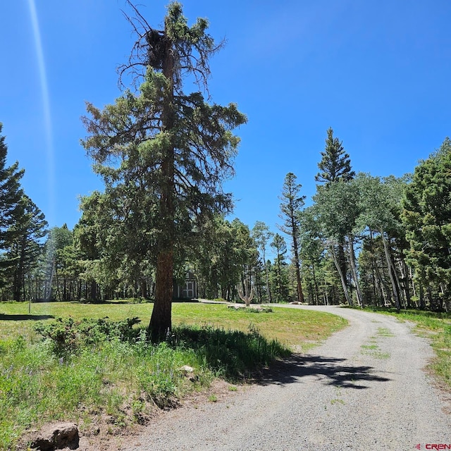 201 Crest Dr, Cimarron, CO 81220