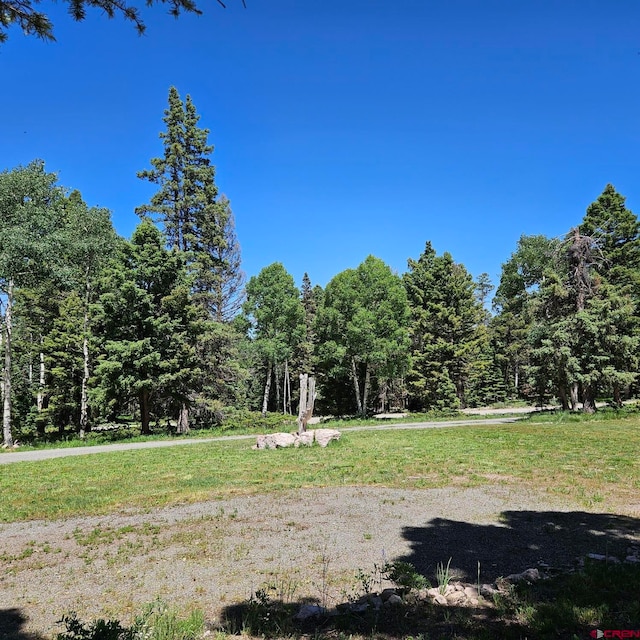 201 Crest Dr, Cimarron, CO 81220