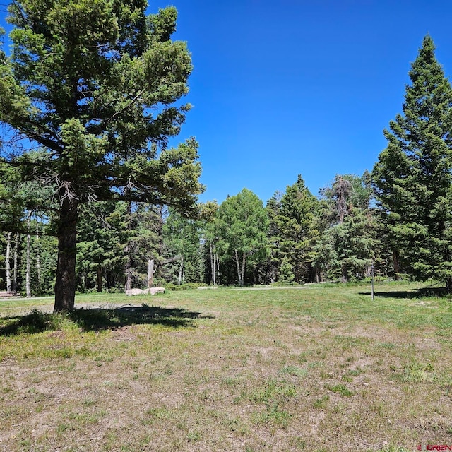 201 Crest Dr, Cimarron, CO 81220