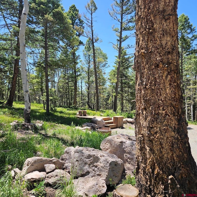 201 Crest Dr, Cimarron, CO 81220