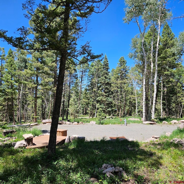201 Crest Dr, Cimarron, CO 81220