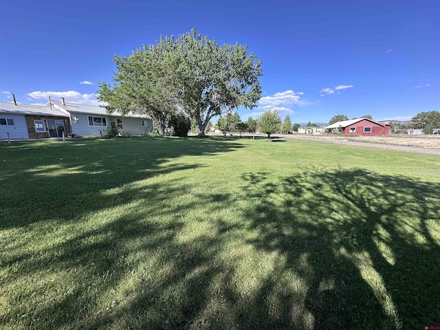 1885 Nichols Way, Montrose, CO 81401 - view of grassy yard