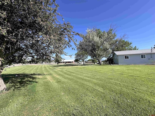 1885 Nichols Way, Montrose, CO 81401 - view of green lawn