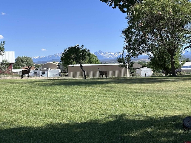 1885 Nichols Way, Montrose, CO 81401 - view of grassy yard featuring a mountain view