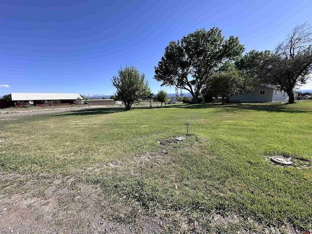 1885 Nichols Way, Montrose, CO 81401 - view of grassy yard