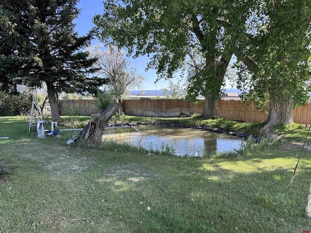 1885 Nichols Way, Montrose, CO 81401 - water view