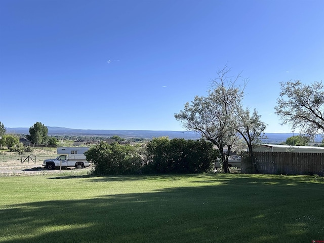 1885 Nichols Way, Montrose, CO 81401 - view of yard