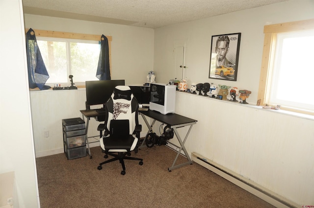 431 Antelope Rd, Gunnison, CO 81230 - office with a baseboard radiator, carpet floors, and a textured ceiling