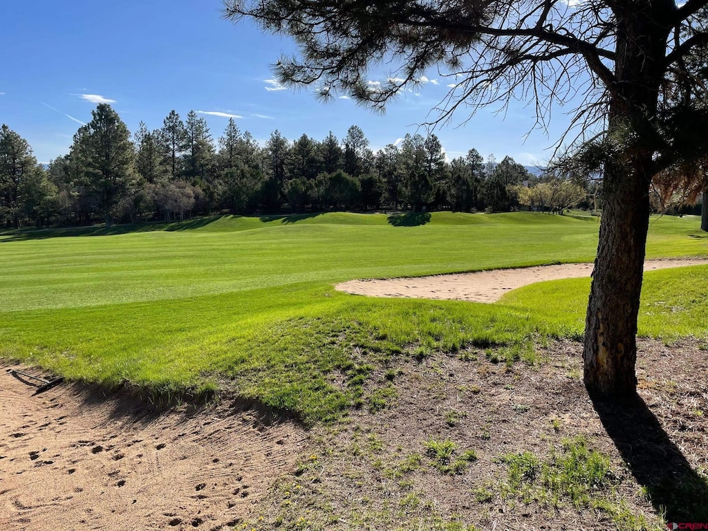 LOT438 S Badger Trl, Ridgway, CO 81432