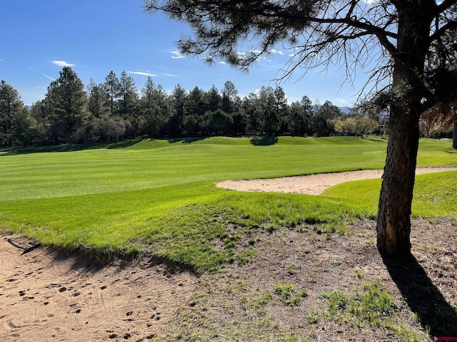 LOT438 S Badger Trl, Ridgway, CO 81432