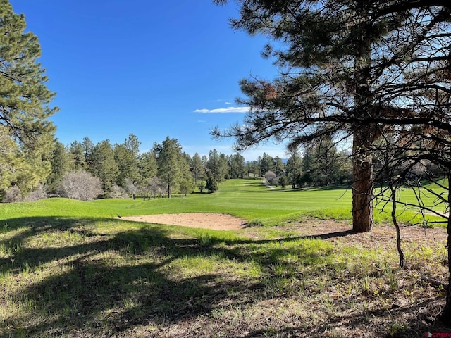LOT438 S Badger Trl, Ridgway, CO 81432