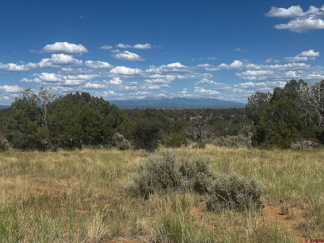 TBD Road 15, Yellow Jacket, CO 81335