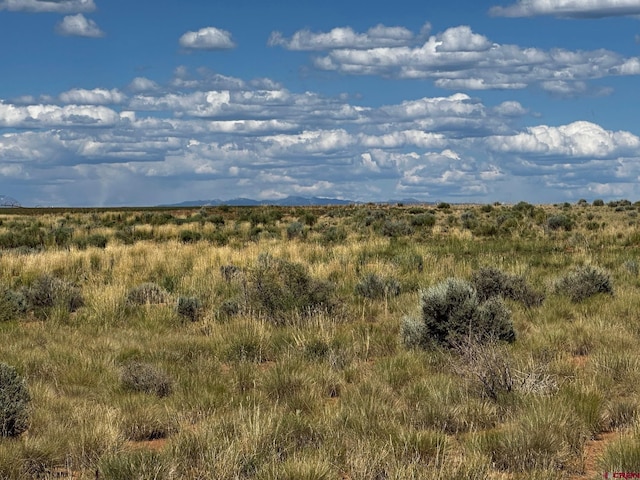 TBD Road 15, Yellow Jacket, CO 81335