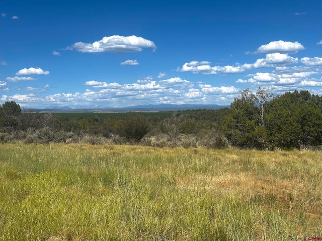 TBD Road 15, Yellow Jacket, CO 81335