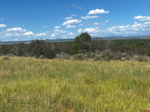 TBD Road 15, Yellow Jacket, CO 81335