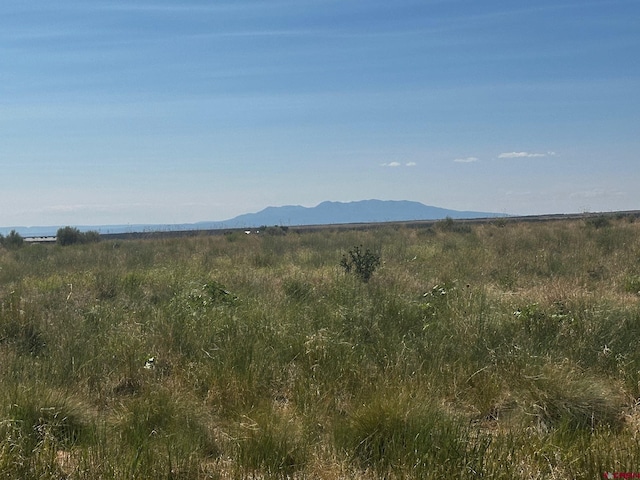 TBD Road 15, Yellow Jacket, CO 81335