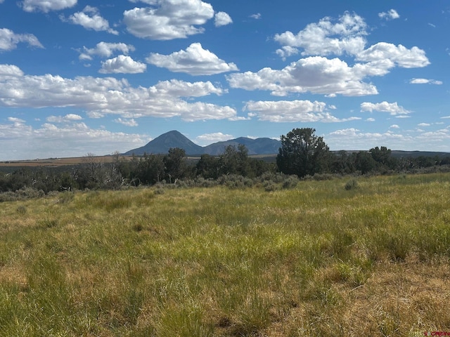TBD Road 15, Yellow Jacket, CO 81335