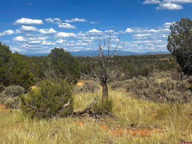 TBD Road 15, Yellow Jacket, CO 81335