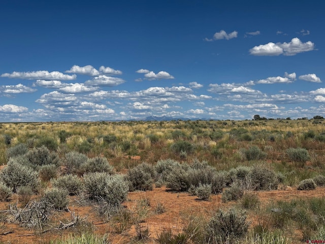 TBD Road 15, Yellow Jacket, CO 81335